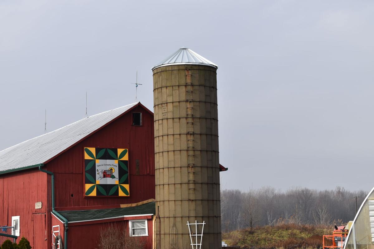 New Silo Cover at St. Clair's Special Dreams Farm